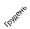 грудень